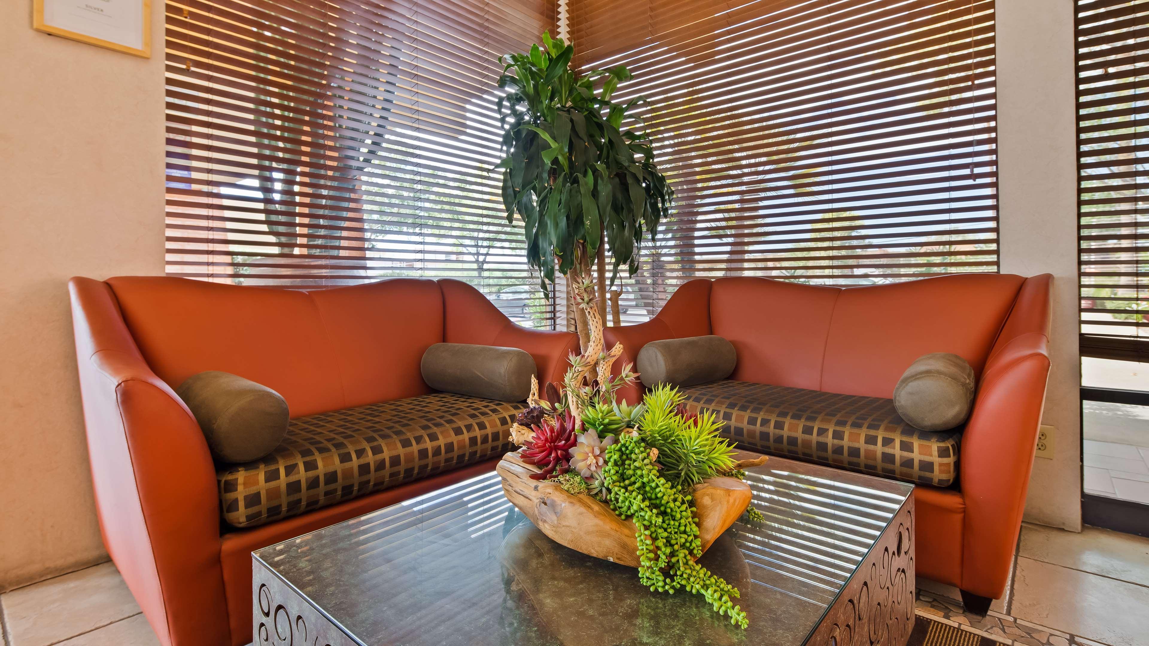 Best Western Royal Sun Inn & Suites Tucson Dış mekan fotoğraf