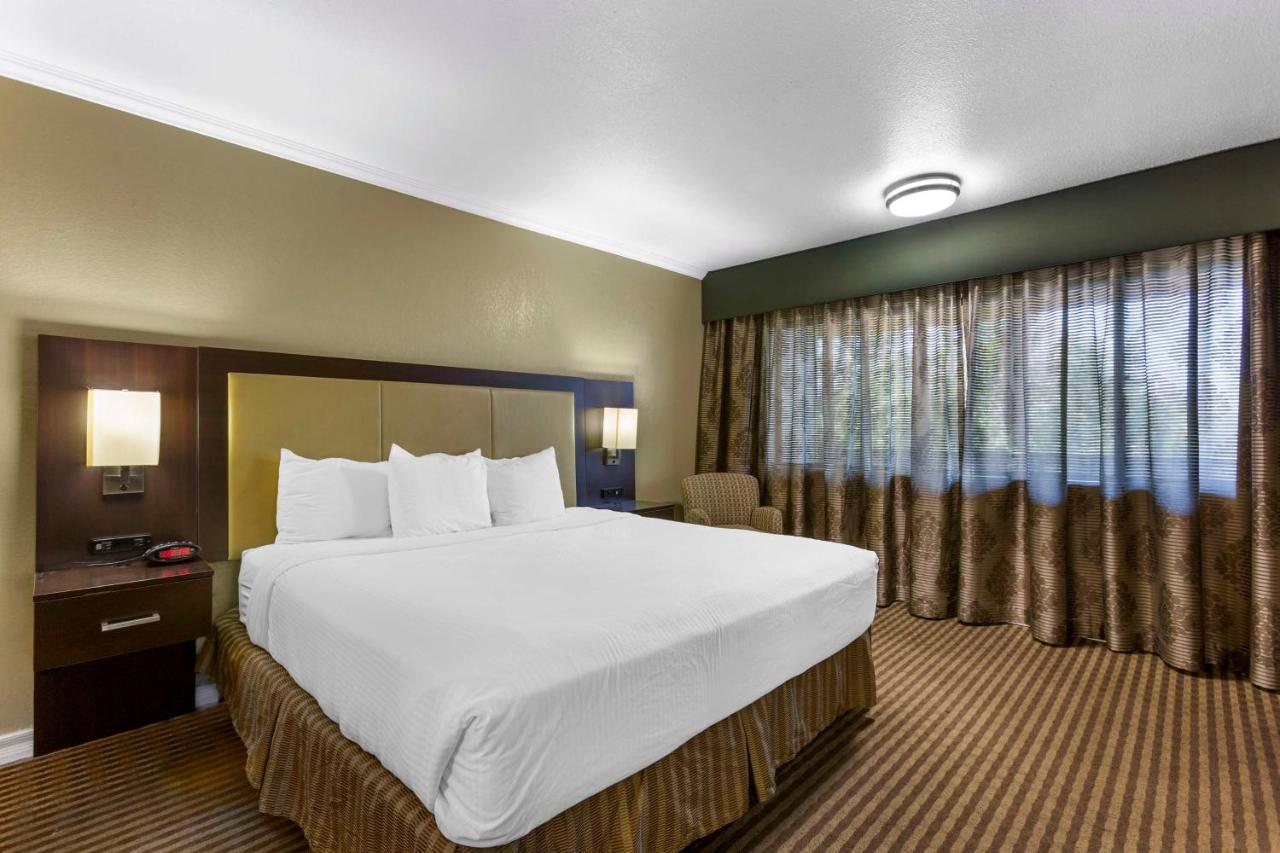 Best Western Royal Sun Inn & Suites Tucson Dış mekan fotoğraf